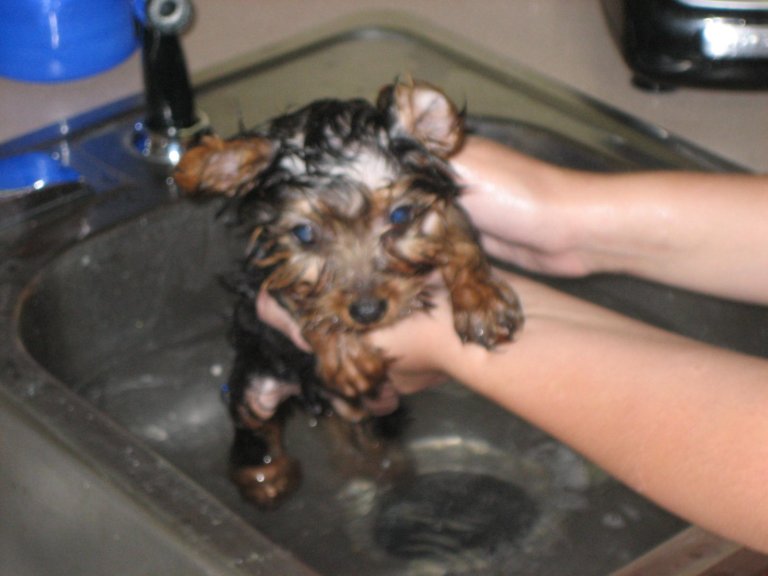 [8GhdVz+9jBpGv4COrr5tsR6VHvl5Hu100300.jpg]