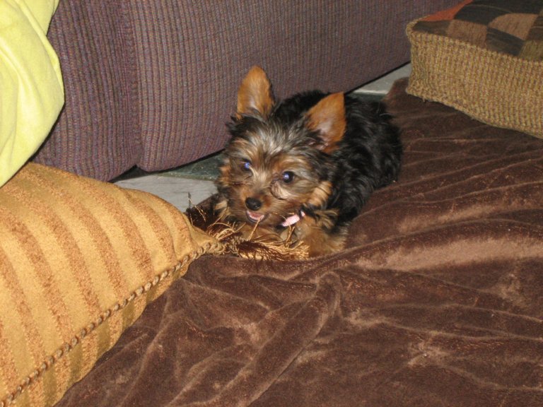 [GlH6qteUZuXLZSuxr3sAiYdcfhVSuVKr0300.jpg]