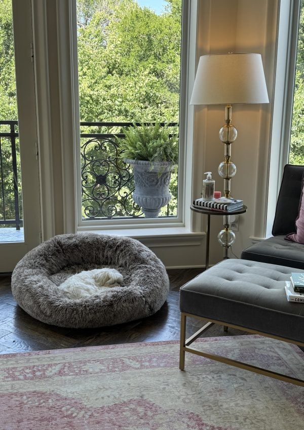 Shay’s Friday Faves {07.25.25}