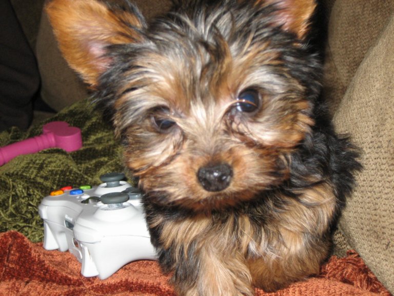 [t-N458TvcdeGYrcCSiXUBqRqZutA70+K0300.jpg]