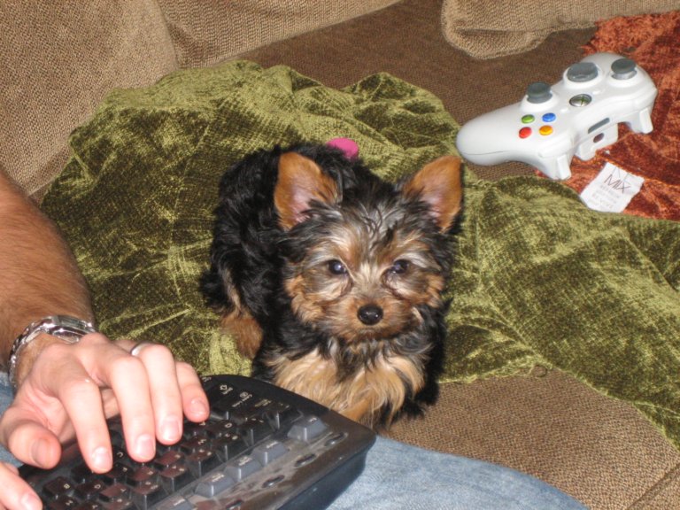 [uJgFeWPfwqO6HrC1F3k3KZihxtgkTEuk0300.jpg]